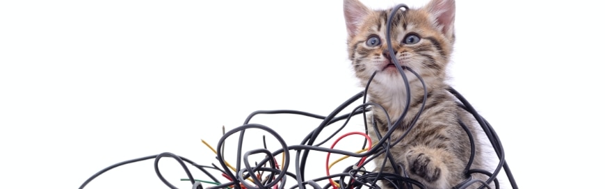 5 Essential digital spring cleaning tips for safer and faster tech