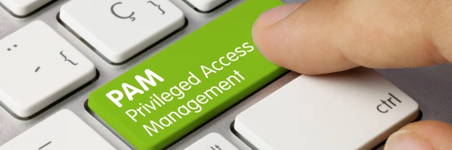 img-blog-Why-you-should-start-the-year-with-a-privileged-access-management-review
